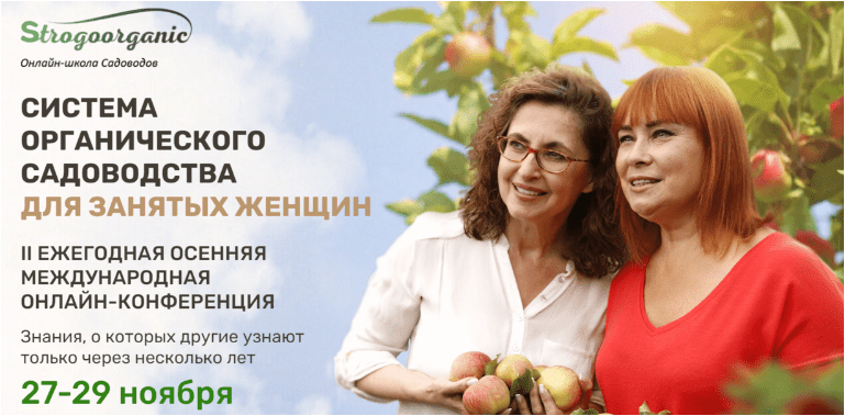 Скачать Система органического садоводства для занятых женщин - Курдюмов (2022)