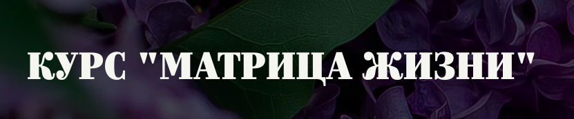 7006356f6a41cfec85d85721d8d291ba.png