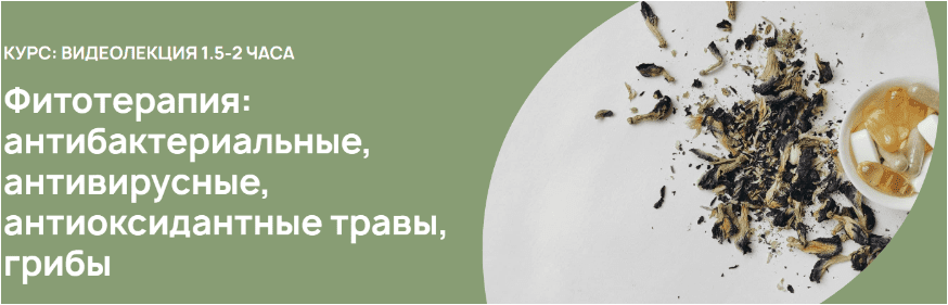 Скачать Фитотерапия: антибактериальные, антивирусные, антиоксидантные травы, грибы - Родионова (2023)