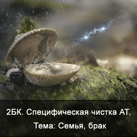 1739522031518.png