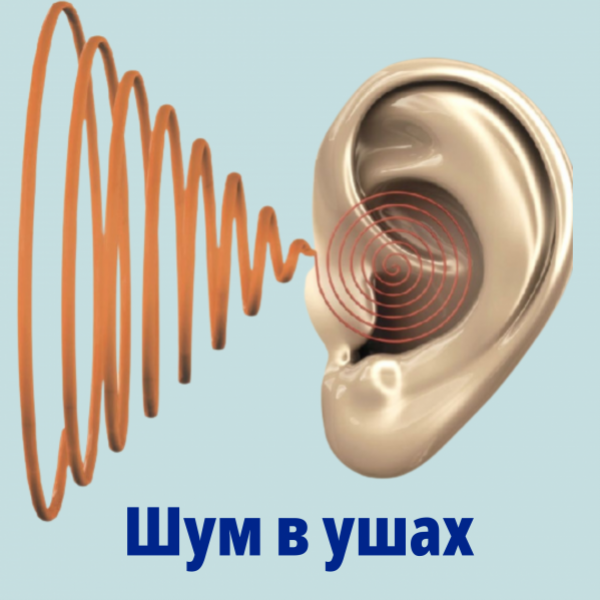 1670422456.jpg
