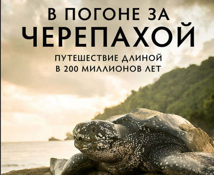 e1a7678f4c2a5b89cc8050105049477a.jpg