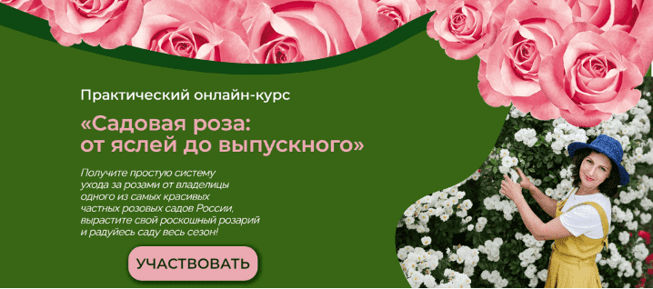 1739507121570.png
