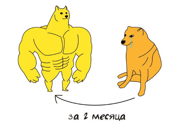 1693578901463-png.109866