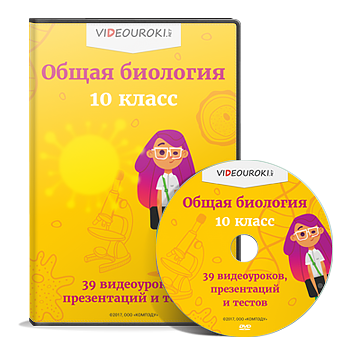 disk.png